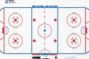 Level Up: Hockey Board Skate Performance & Maintenance | Your Ultimate Source for Hockey Updates, Training Guides, and Equipment Recommendations
