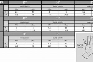 Find Your Fit: Hockey Glove Size Chart Guide Your Ultimate Source for Hockey Updates, Training Guides, and Equipment Recommendations Find Your Fit: Hockey Glove Size Chart Guide | Your Ultimate Source for Hockey Updates, Training Guides, and Equipment Recommendations