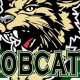 NY Bobcats Ice Hockey: News, Scores & More | Your Ultimate Source for Hockey Updates, Training Guides, and Equipment Recommendations