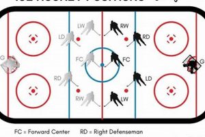 Decode: Hockey Positions Diagram Guide & More! Your Ultimate Source for Hockey Updates, Training Guides, and Equipment Recommendations Decode: Hockey Positions Diagram Guide & More! | Your Ultimate Source for Hockey Updates, Training Guides, and Equipment Recommendations