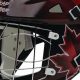 Best Road Hockey Goalie Mask: Protection & Style | Your Ultimate Source for Hockey Updates, Training Guides, and Equipment Recommendations