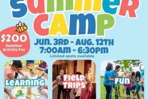 Find Top Youth Hockey Camps Near Me: Skills & Fun! | Your Ultimate Source for Hockey Updates, Training Guides, and Equipment Recommendations