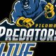 Piedmont Predators Hockey: Youth Hockey Excellence! | Your Ultimate Source for Hockey Updates, Training Guides, and Equipment Recommendations