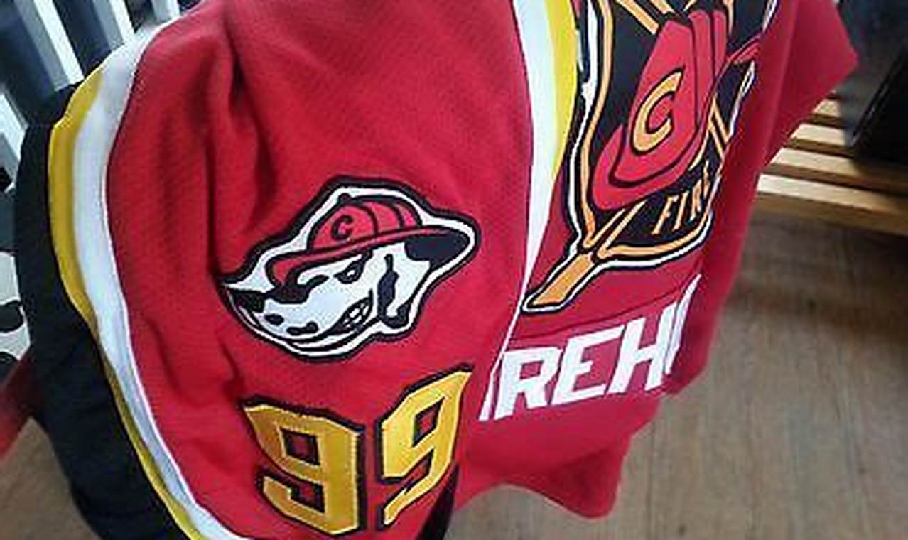 Shop NYFD Hockey Jersey: Official Gear & More! | Your Ultimate Source for Hockey Updates, Training Guides, and Equipment Recommendations