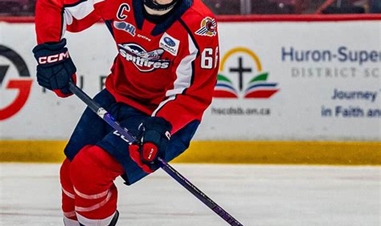 Back Yard Fun: Ethan Garden Hockey Tips &amp; Drills | Your Ultimate Source for Hockey Updates, Training Guides, and Equipment Recommendations