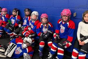 Empower Lady Liberty Hockey: Teams, Skills & Growth | Your Ultimate Source for Hockey Updates, Training Guides, and Equipment Recommendations