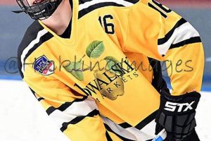 Unleash Your Game: Justin Kerr Hockey Training & Tips Your Ultimate Source for Hockey Updates, Training Guides, and Equipment Recommendations Unleash Your Game: Justin Kerr Hockey Training & Tips | Your Ultimate Source for Hockey Updates, Training Guides, and Equipment Recommendations