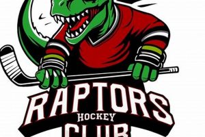 Elite Hockey Raptors: Soar to Victory! | Your Ultimate Source for Hockey Updates, Training Guides, and Equipment Recommendations