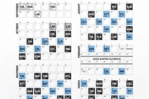 Your Guide to the UDel Hockey Schedule: Games & More | Your Ultimate Source for Hockey Updates, Training Guides, and Equipment Recommendations