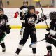 MI Youth Hockey Rankings: Top Teams & How They Rank | Your Ultimate Source for Hockey Updates, Training Guides, and Equipment Recommendations