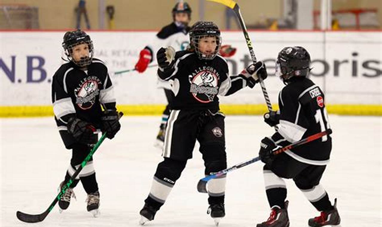 MI Youth Hockey Rankings: Top Teams & How They Rank | Your Ultimate Source for Hockey Updates, Training Guides, and Equipment Recommendations