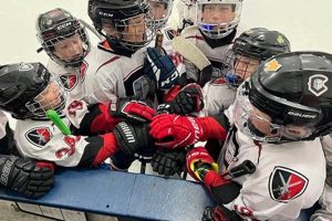 Develop Skills with Crusaders Youth Hockey Programs Today! | Your Ultimate Source for Hockey Updates, Training Guides, and Equipment Recommendations