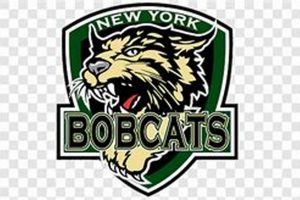 NY Bobcats Ice Hockey: Skills & Teams! | Your Ultimate Source for Hockey Updates, Training Guides, and Equipment Recommendations