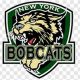NY Bobcats Ice Hockey: Skills & Teams! | Your Ultimate Source for Hockey Updates, Training Guides, and Equipment Recommendations
