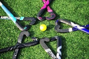 Buy Field Hockey Sticks for Sale: Find Your Perfect Stick | Your Ultimate Source for Hockey Updates, Training Guides, and Equipment Recommendations