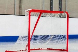 Best Hockey Goalie Net: [Your Shop] Performance & Safety | Your Ultimate Source for Hockey Updates, Training Guides, and Equipment Recommendations