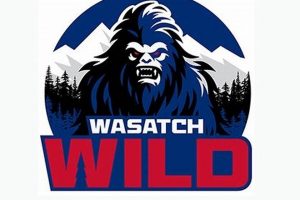 Wasatch Wild Hockey: Your Youth Hockey HQ | Your Ultimate Source for Hockey Updates, Training Guides, and Equipment Recommendations