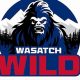 Wasatch Wild Hockey: Your Youth Hockey HQ | Your Ultimate Source for Hockey Updates, Training Guides, and Equipment Recommendations