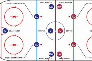 Hockey: What Position Scores the Most Goals? Stats & Facts | Your Ultimate Source for Hockey Updates, Training Guides, and Equipment Recommendations
