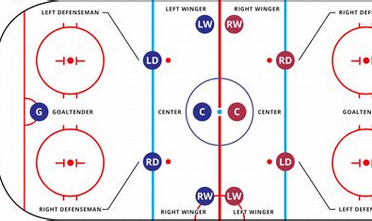 Hockey: What Position Scores the Most Goals? Stats & Facts | Your Ultimate Source for Hockey Updates, Training Guides, and Equipment Recommendations