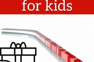 Best Ice Hockey Gifts Guide: Ideas for Hockey Fans! | Your Ultimate Source for Hockey Updates, Training Guides, and Equipment Recommendations