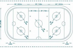 Rink Length: How Long is a Hockey Rink Really? Guide | Your Ultimate Source for Hockey Updates, Training Guides, and Equipment Recommendations