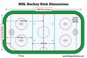 Hockey Rink Size: Dimensions Guide & Variations Explained Your Ultimate Source for Hockey Updates, Training Guides, and Equipment Recommendations Hockey Rink Size: Dimensions Guide & Variations Explained | Your Ultimate Source for Hockey Updates, Training Guides, and Equipment Recommendations