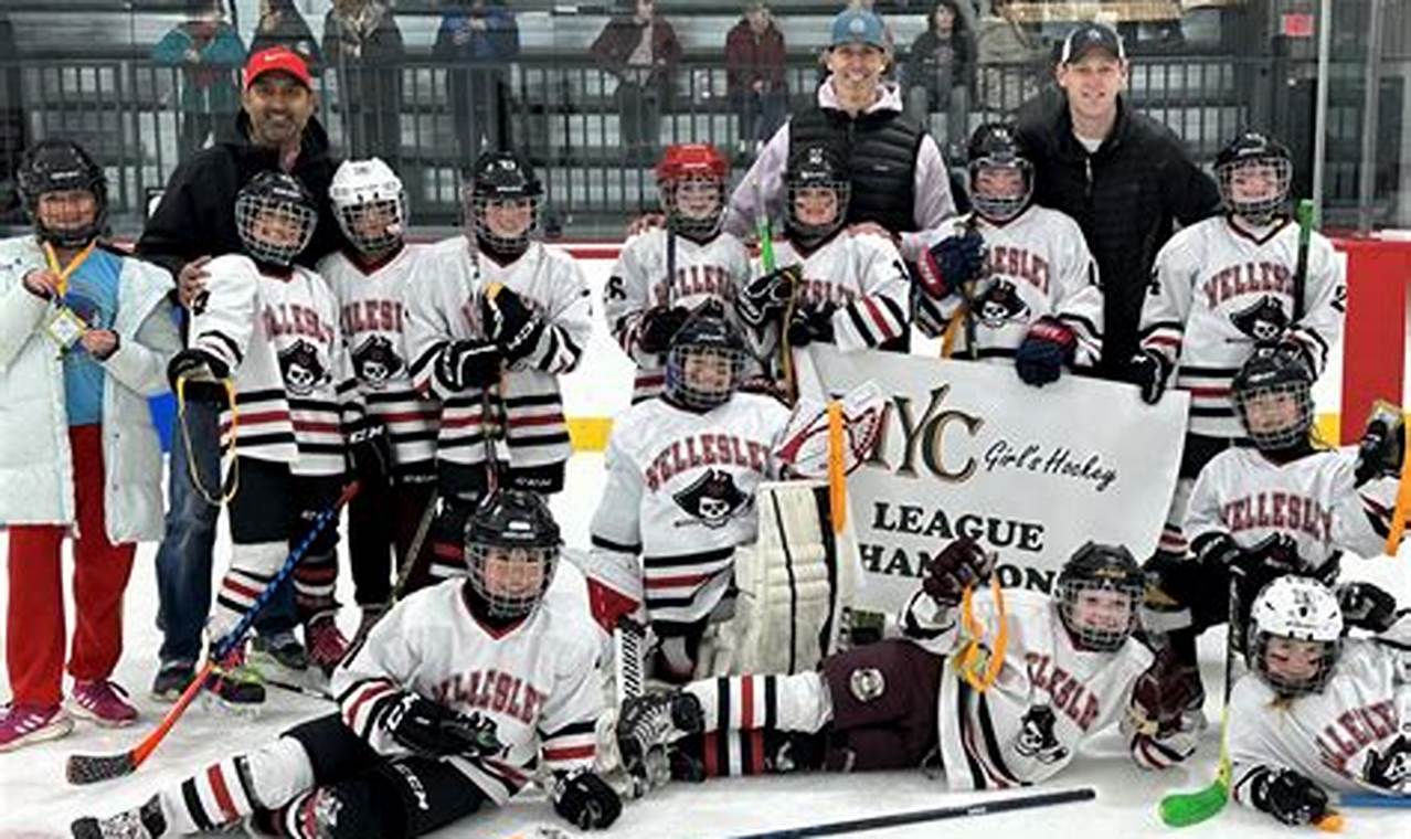 Guide to Wellesley Youth Hockey Programs + Tips Your Ultimate Source for Hockey Updates, Training Guides, and Equipment Recommendations Guide to Wellesley Youth Hockey Programs + Tips | Your Ultimate Source for Hockey Updates, Training Guides, and Equipment Recommendations