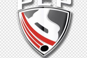Unlock Hockey Power: Edge Pro Skills & Training | Your Ultimate Source for Hockey Updates, Training Guides, and Equipment Recommendations