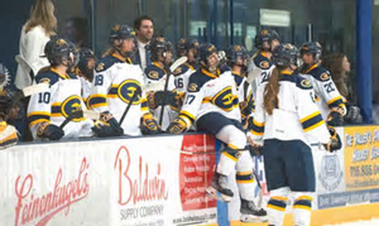 UWEC Women's Hockey: Blugold Ice &amp; Success! | Your Ultimate Source for Hockey Updates, Training Guides, and Equipment Recommendations