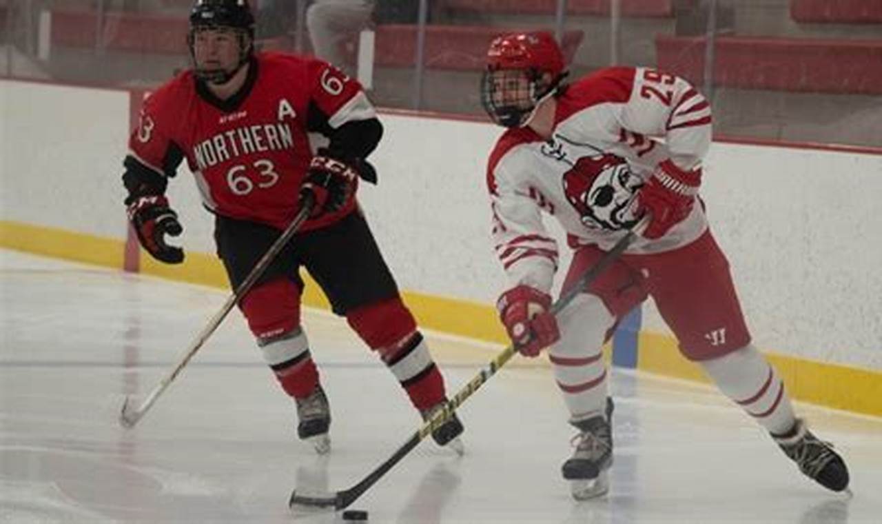 MSOE Hockey: Raiders on Ice | MSOE Athletics Your Ultimate Source for Hockey Updates, Training Guides, and Equipment Recommendations MSOE Hockey: Raiders on Ice | MSOE Athletics | Your Ultimate Source for Hockey Updates, Training Guides, and Equipment Recommendations