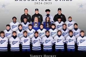 Your Guide to Brookfield Stars Hockey: Teams & More | Your Ultimate Source for Hockey Updates, Training Guides, and Equipment Recommendations