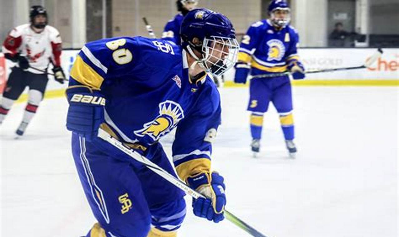 Spartan Ice: SJSU Hockey - Teams & News Your Ultimate Source for Hockey Updates, Training Guides, and Equipment Recommendations Spartan Ice: SJSU Hockey - Teams & News | Your Ultimate Source for Hockey Updates, Training Guides, and Equipment Recommendations