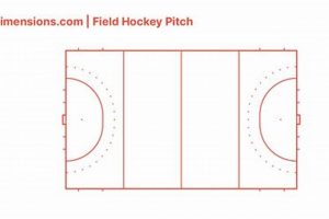 Field Hockey Diagrams: Pro Tactics & Plays Your Ultimate Source for Hockey Updates, Training Guides, and Equipment Recommendations Field Hockey Diagrams: Pro Tactics & Plays | Your Ultimate Source for Hockey Updates, Training Guides, and Equipment Recommendations