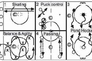Essential Mite Ice Hockey Drills: Skill Building Guide Your Ultimate Source for Hockey Updates, Training Guides, and Equipment Recommendations Essential Mite Ice Hockey Drills: Skill Building Guide | Your Ultimate Source for Hockey Updates, Training Guides, and Equipment Recommendations