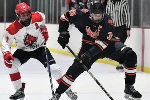 Edwardsville Ice Hockey: Your Guide | Ice Hockey Action! Your Ultimate Source for Hockey Updates, Training Guides, and Equipment Recommendations Edwardsville Ice Hockey: Your Guide | Ice Hockey Action! | Your Ultimate Source for Hockey Updates, Training Guides, and Equipment Recommendations
