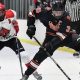 Edwardsville Ice Hockey: Your Guide | Ice Hockey Action! | Your Ultimate Source for Hockey Updates, Training Guides, and Equipment Recommendations