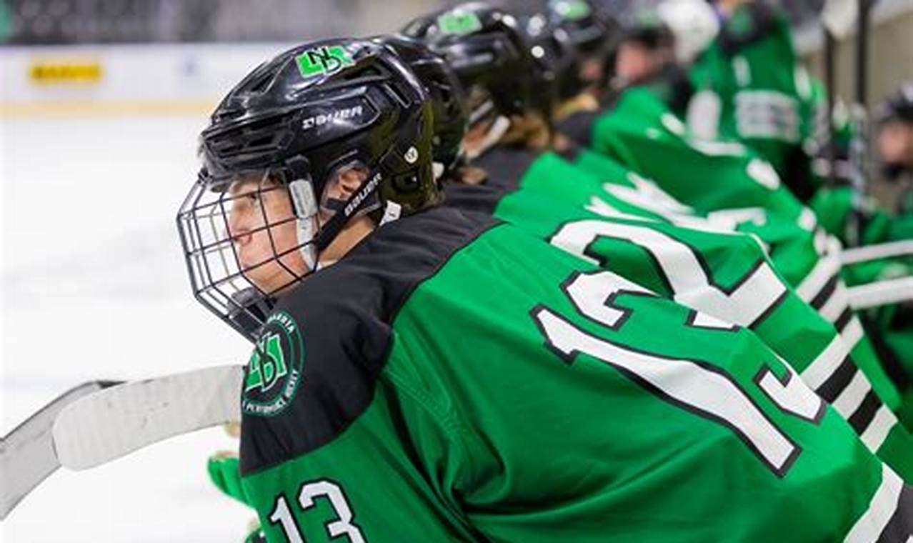 ND Hockey: North Dakota HS Hockey Guide & More Your Ultimate Source for Hockey Updates, Training Guides, and Equipment Recommendations ND Hockey: North Dakota HS Hockey Guide & More | Your Ultimate Source for Hockey Updates, Training Guides, and Equipment Recommendations