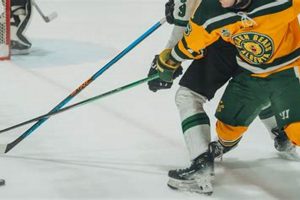 Future NHL Stars: College Hockey Pro Signings 2025 Your Ultimate Source for Hockey Updates, Training Guides, and Equipment Recommendations Future NHL Stars: College Hockey Pro Signings 2025 | Your Ultimate Source for Hockey Updates, Training Guides, and Equipment Recommendations