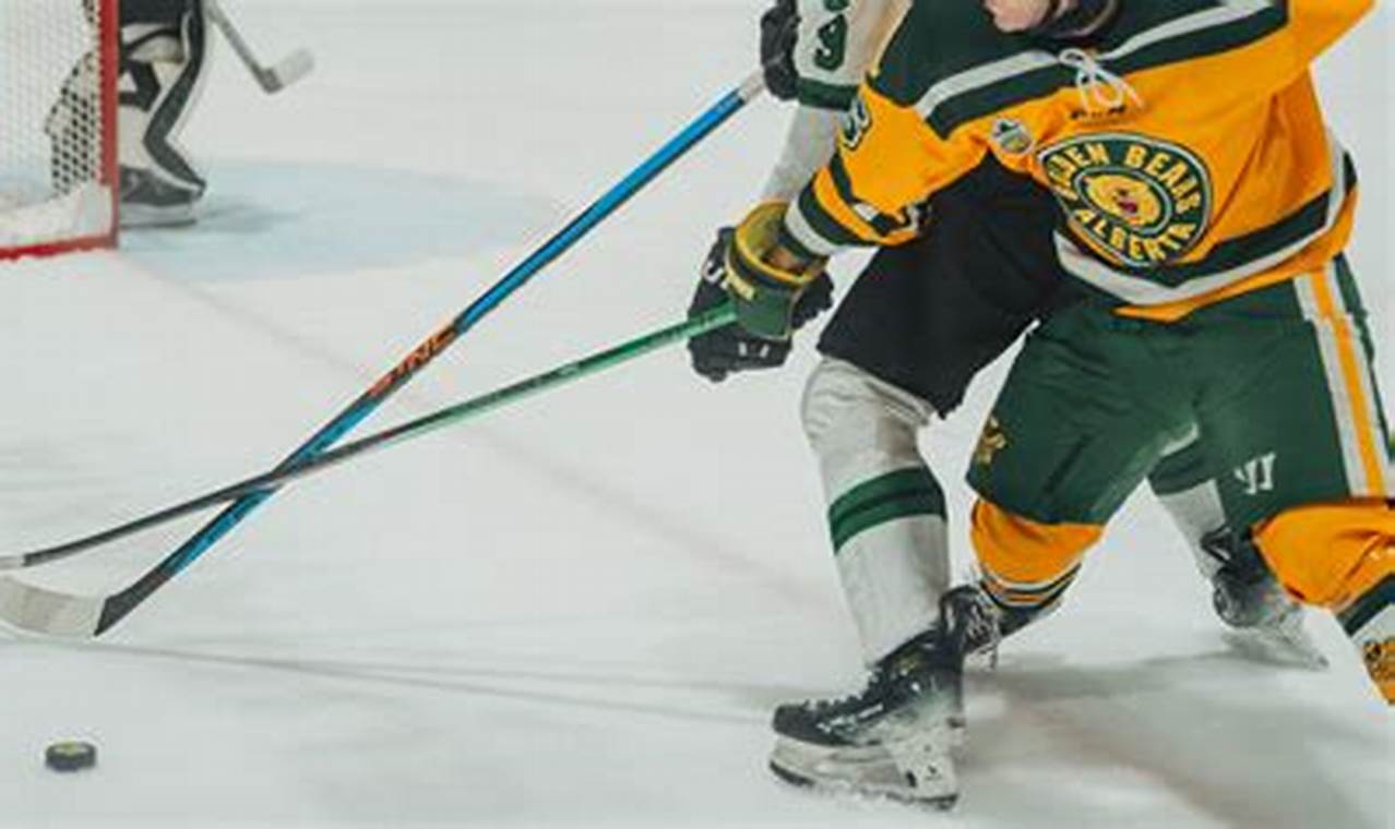 Future NHL Stars: College Hockey Pro Signings 2025 | Your Ultimate Source for Hockey Updates, Training Guides, and Equipment Recommendations