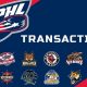 SPHL Hockey Transactions: News, Moves & Deals | Your Ultimate Source for Hockey Updates, Training Guides, and Equipment Recommendations