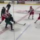 Farmingdale Ice Hockey: League, Teams & More | Your Ultimate Source for Hockey Updates, Training Guides, and Equipment Recommendations