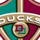 Play Delaware Ducks Hockey: Youth Hockey Excellence | Your Ultimate Source for Hockey Updates, Training Guides, and Equipment Recommendations