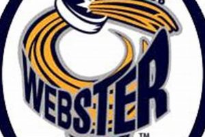 Unlock Webster Youth Hockey: Skills, Teams & More! | Your Ultimate Source for Hockey Updates, Training Guides, and Equipment Recommendations