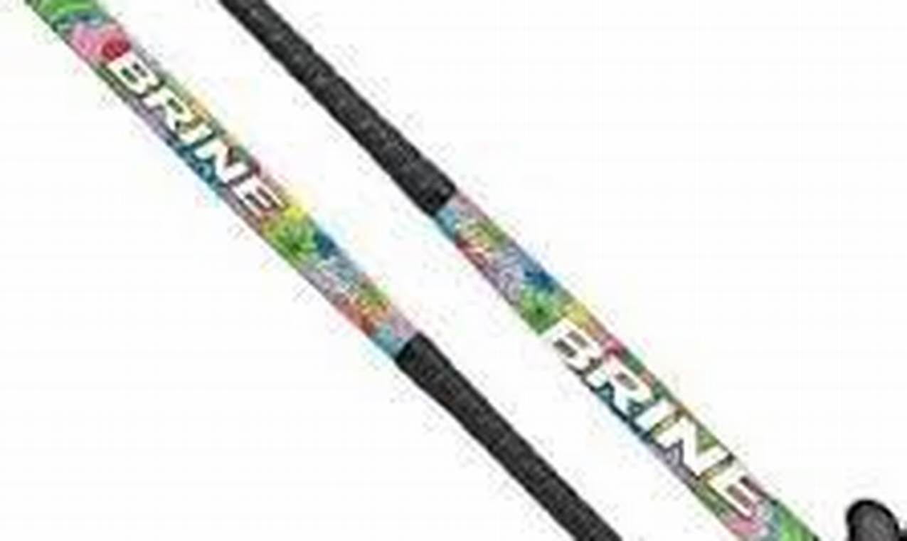 Brine Taiga 3.0: Power Up Your Field Hockey Game! | Your Ultimate Source for Hockey Updates, Training Guides, and Equipment Recommendations