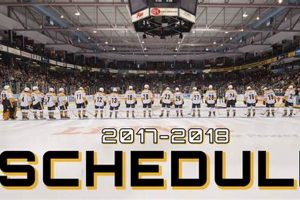 Get the Latest Sarnia Sting Hockey Schedule: Dates & Times! | Your Ultimate Source for Hockey Updates, Training Guides, and Equipment Recommendations