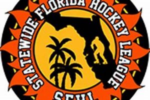 Local SFHL Hockey: Leagues, Teams & More! | Your Ultimate Source for Hockey Updates, Training Guides, and Equipment Recommendations