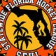 Local SFHL Hockey: Leagues, Teams & More! | Your Ultimate Source for Hockey Updates, Training Guides, and Equipment Recommendations