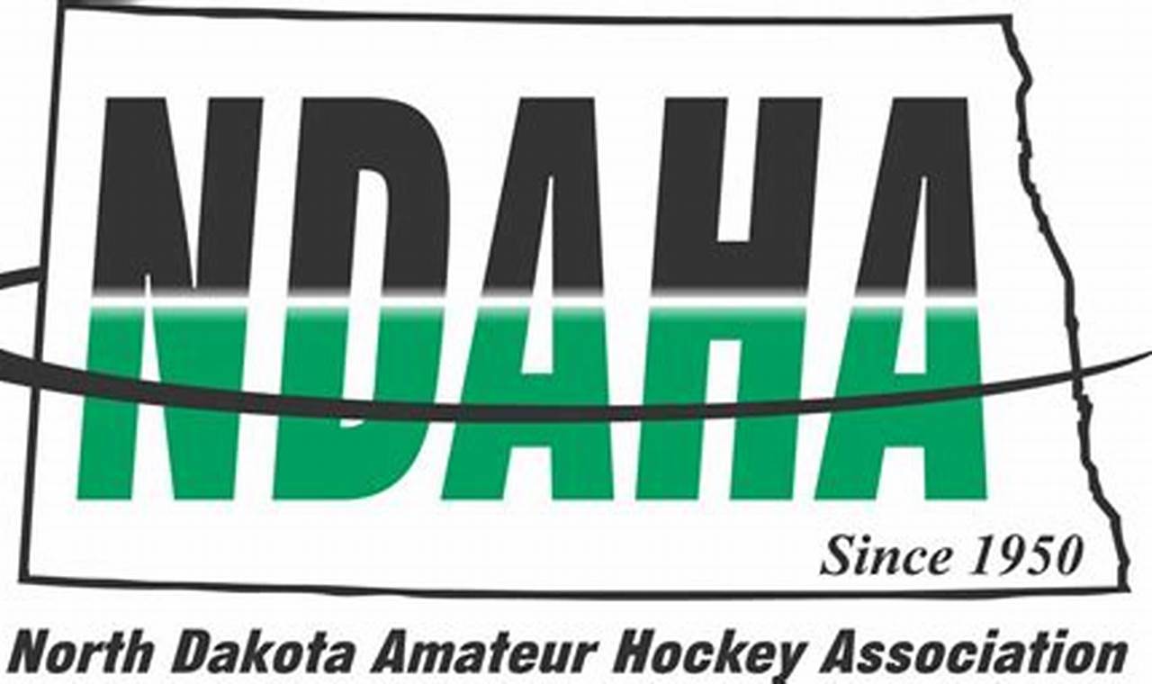 Learn NDAHA Hockey: Programs, Teams & More! | Your Ultimate Source for Hockey Updates, Training Guides, and Equipment Recommendations