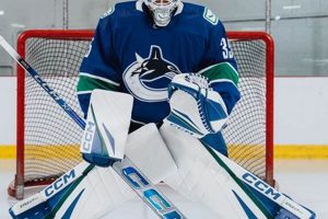 Hockey Padding: Enhanced Protection & Performance | Your Ultimate Source for Hockey Updates, Training Guides, and Equipment Recommendations